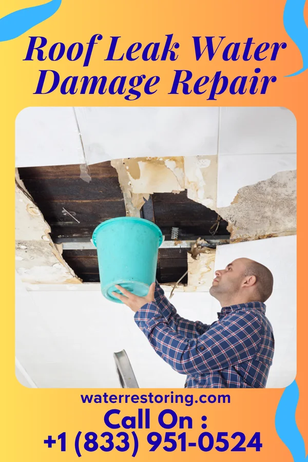 Roof Leak Water Damage Repair in Del Sol, TX